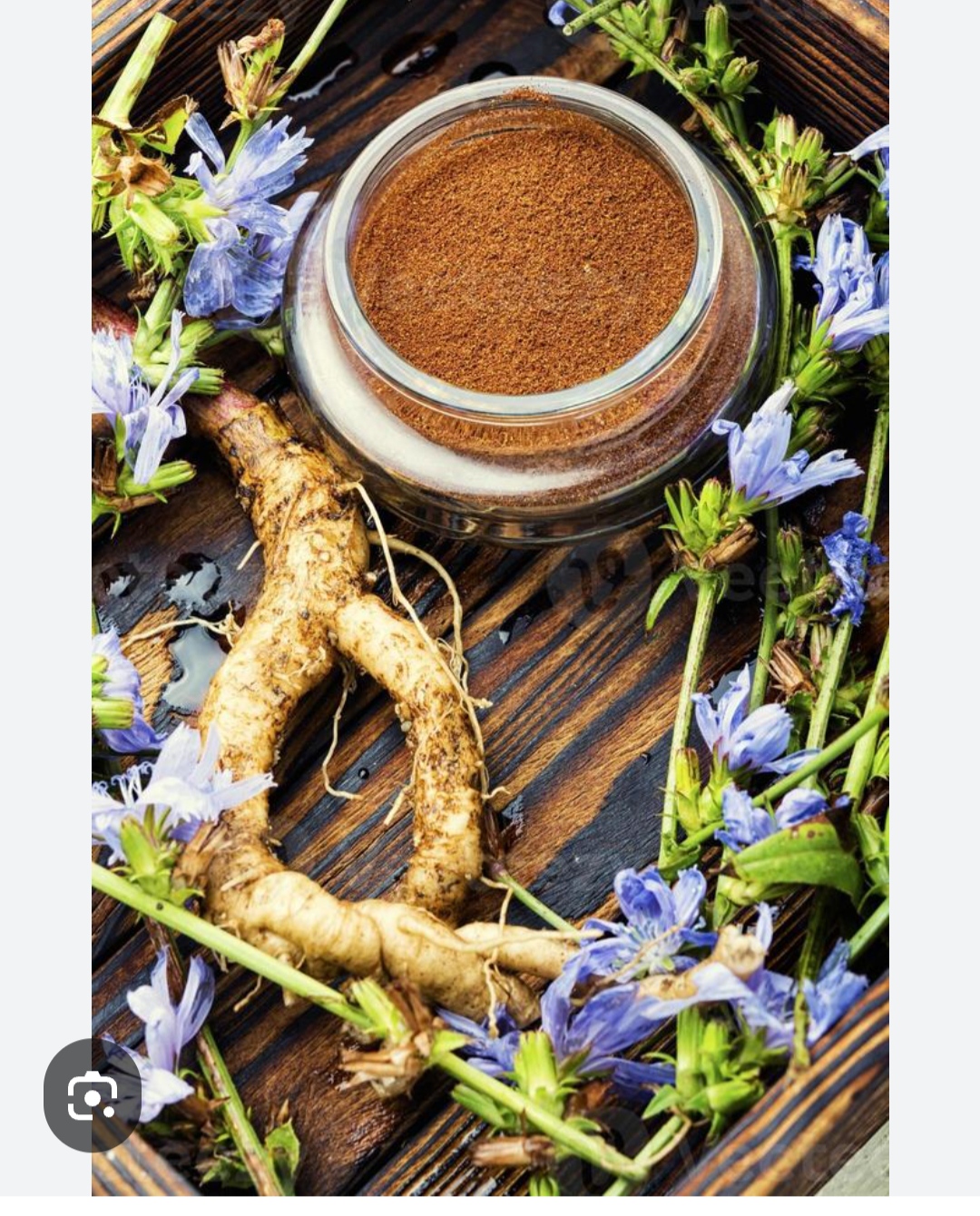 Chicory Root & Blue Flower — Chikori Choc Ingredient